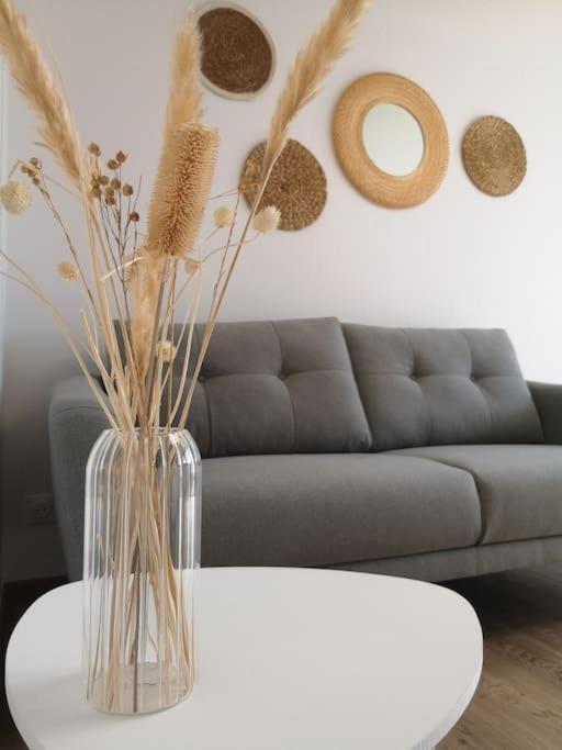 Apartment T1 Bis Proche Marais Avec Garage A Moto